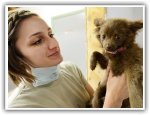 Veterinarians in the USA