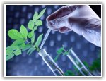 Biotech and Life Science USA Email
