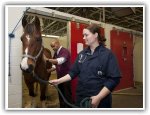 Veterinarians Email eUSA