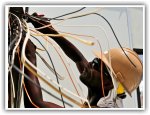 Electricians in the USA