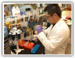 Clinical Lab Personnel in the USA