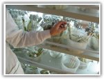 Biotech and Life Science USA Email
