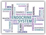 Endocrinologists in the USA