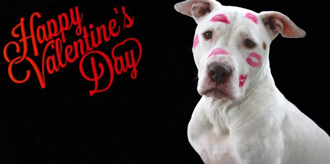 Bethesda List Center + Bethesda Emedia Marketing + Fix My List - Valentine's Day