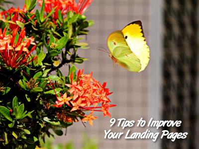 Read more about the article 9 Tips to Improve Your Landing Pages