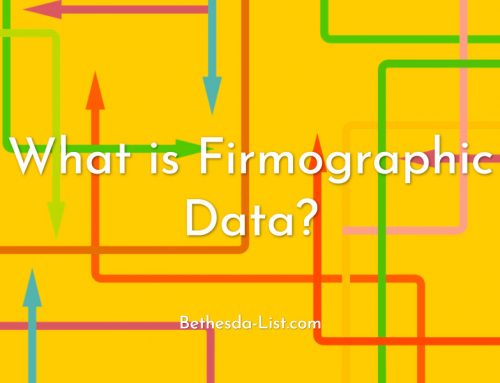 What is Firmographic Data?