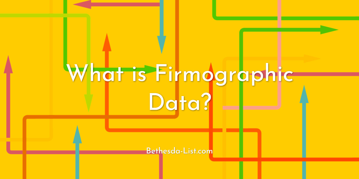 You are currently viewing What is Firmographic Data?